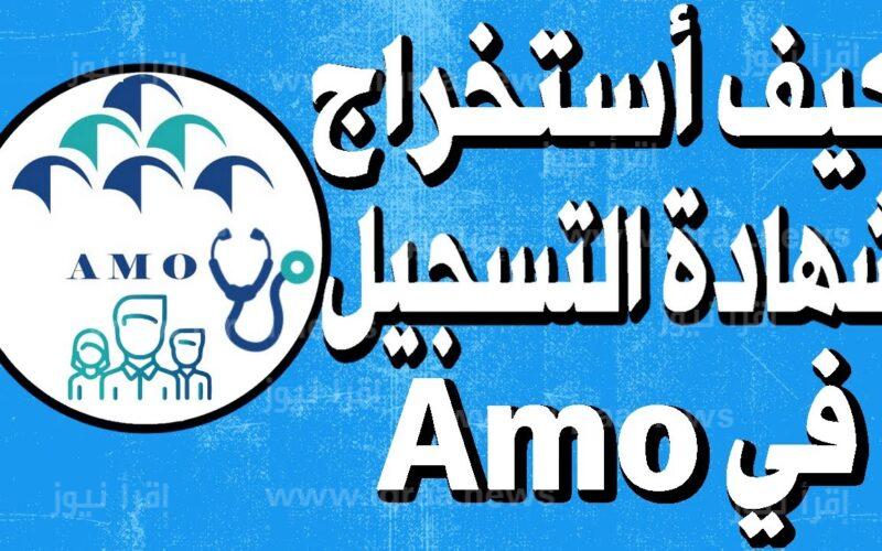 تسجيل دخول digital cnss ma amo المغرب الفئات المستفيدة من الضمان الاجتماعي 2023