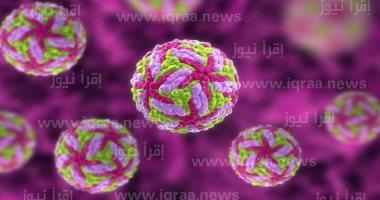 الصحة: إصدار الدليل الإرشادى للتعامل مع أى حالات إصابة بفيروس ماربورج