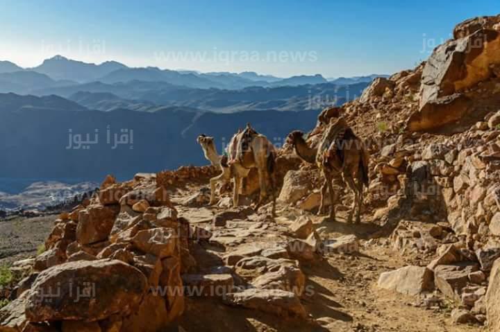 مواعيد صعود جبل موسى في شهر رمضان 2023 بسانت كاترين في أجمل الرحلات الكونية