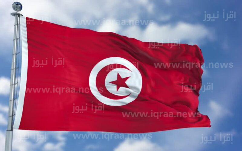 edu رابط التسجيل بالمدارس الإبتدائية بتونس 2023 primaire.education.tn عد بعد